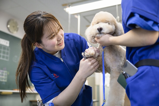 東京愛犬専門学校 インタビュー1